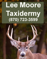 Lee Moore Taxidermy